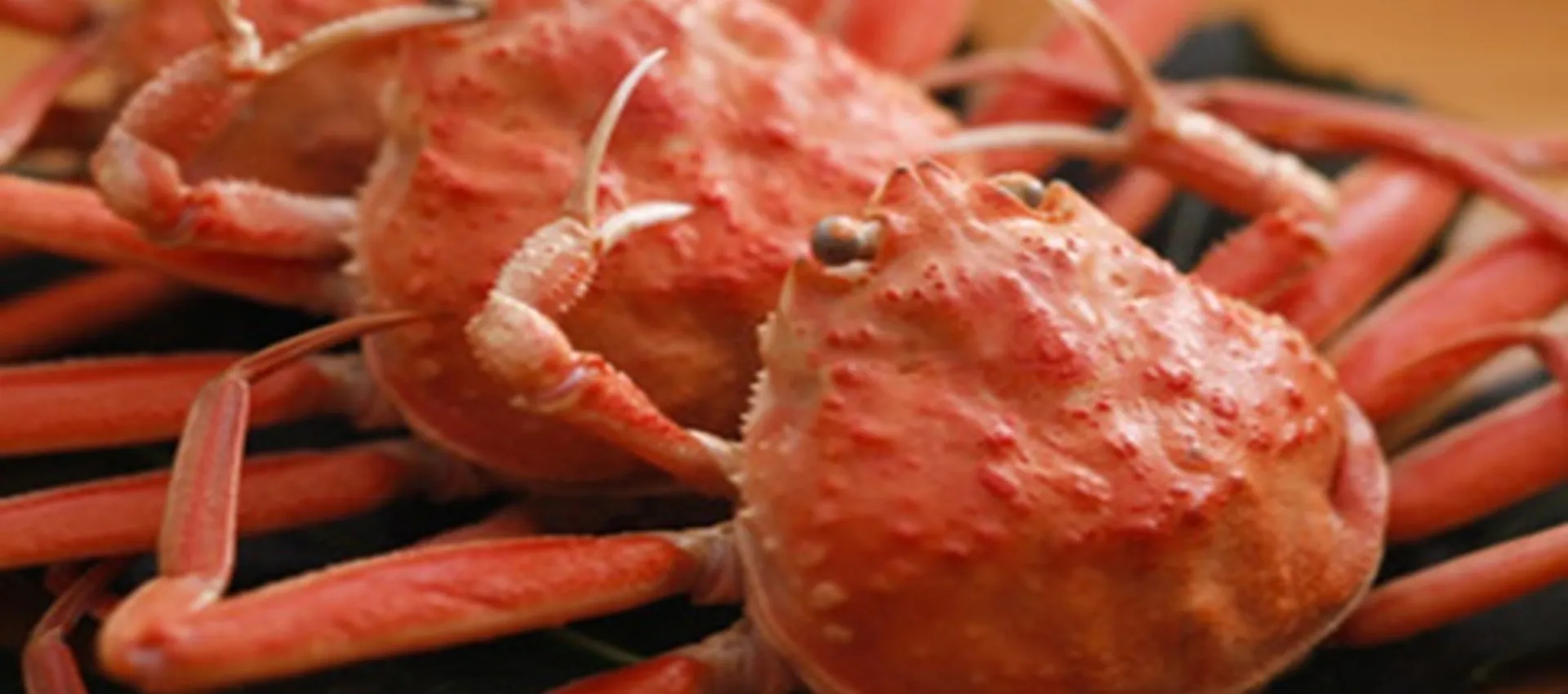 麻布うか